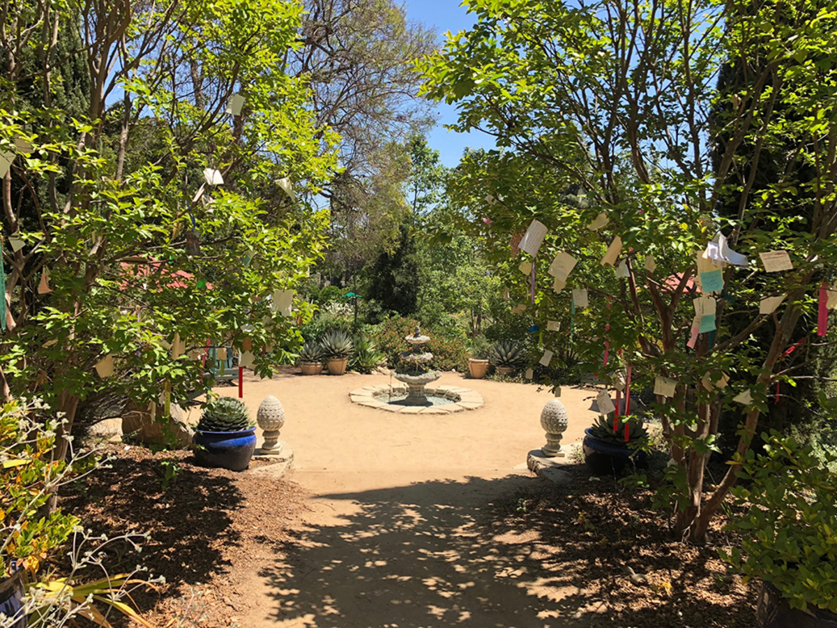 Discovering Arlington Gardens A Scene For Serenity In Pasadena